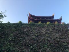 -浦江麦饼