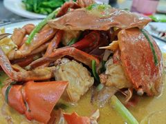 缅甸肉蟹-金螃蟹