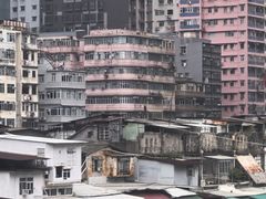 -油麻地果栏