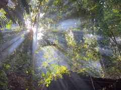 -西双版纳基诺山寨