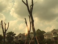 -七宝中学游泳馆