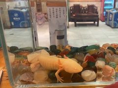 -老康火锅(桥南街店)