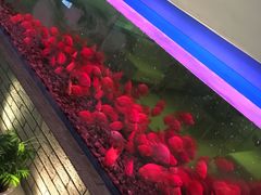 -南美元生态大酒店(海珠店)