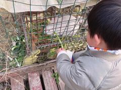 -青浦采草莓天天草莓园