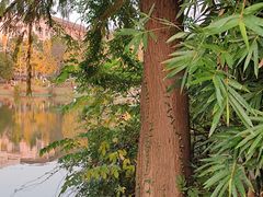 -浙江农林大学(东湖校区)