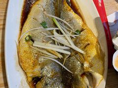 清蒸大黄花鱼-渔家颂歌渔家味道(青石路店)