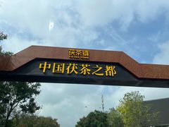 -茯茶镇