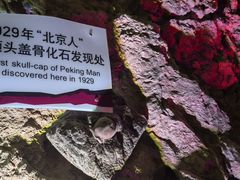 -周口店北京人遗址公园