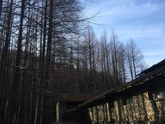 -山王坪喀斯特国家生态公园