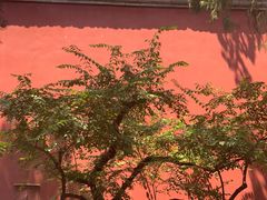 -北京市劳动人民文化宫(太庙)