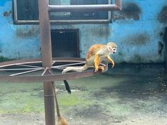 -秦皇岛野生动物园