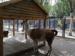 -长白岛森林公园