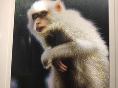 -姚建萍刺绣艺术馆