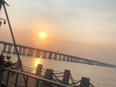 -宝安西湾红树林湿地公园