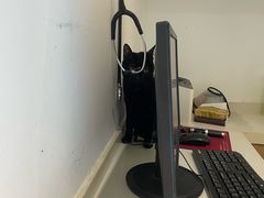 -艾贝尔宠物医院·24H转诊中心·肿瘤猫专科(江宁双龙店)