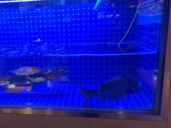 -蜀香三绝·牛蛙·烤鱼·天府炒鸡(安丘泰华店)