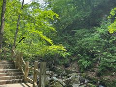 -本溪汤沟绿石谷森林公园