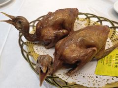 -有腥气私房菜·寻味顺德