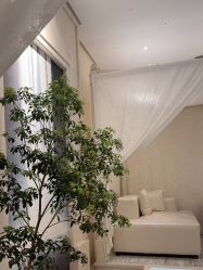 -奥斯芬欧系贵族SPA