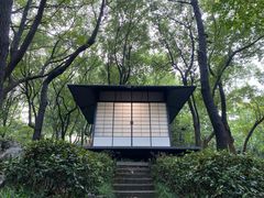-中国茶叶博物馆(双峰馆区)