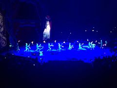 -珠海横琴长隆《卡卡虎奇遇记》