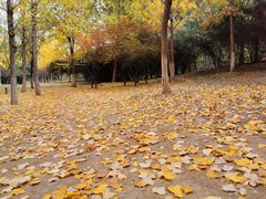 -济南国际园博园