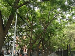 -元大都城垣遗址公园