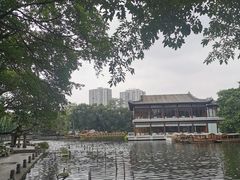 -荔湾湖公园