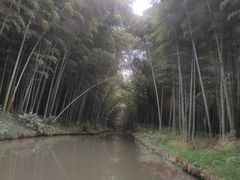 -同里国家湿地公园