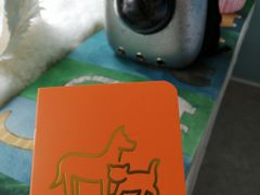 -纳吉亚猫专科动物医院·北北分院