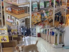 -翊宠yipet猫狗购宠庄园犬舍•猫舍