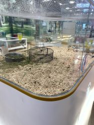 -小象动悟公园(龙湖亦庄天街店)
