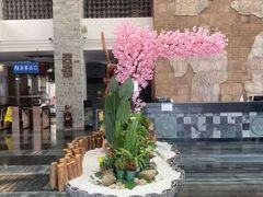 -天芳悦潭度假村温泉