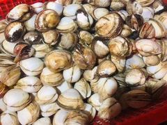 -望海潮海鲜店 特色家常菜(在海一方店)
