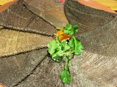 董家湾极品毛肚-董家湾重庆老火锅(嘉华店)