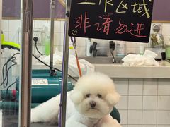 -Oh My Dog宠物沙龙(伊珊娜皮毛护理店)