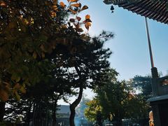 -八大处公园
