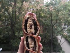 红豆碱水-麦陌(正弘城店)