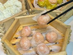 -顺德渔村·岭南一号