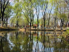 -长白岛森林公园