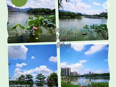 -飞来湖湿地公园