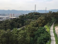 -金鸡山公园
