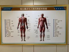 -通透堂中医·精准推拿(旗舰店)