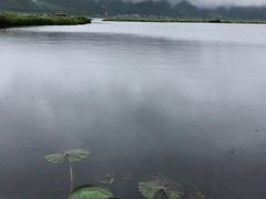 -腾冲北海湿地
