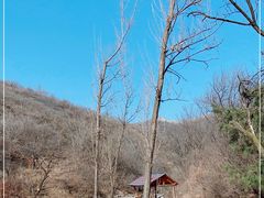 -蟠龙山长城景区