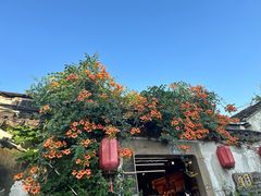 -探花·意境江南菜·唐伯虎文化体验店·松鼠桂鱼(观前店)