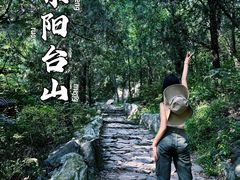 -阳台山自然风景区