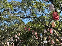 -江心屿景区