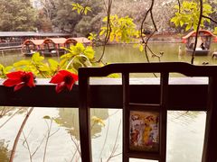 -侨美·唐荔园·40年地道粤菜