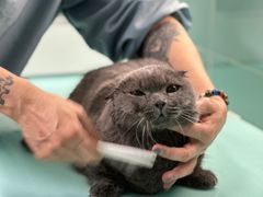 -猫宠乐园·专业洗护